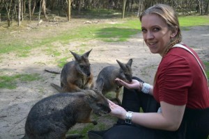 Rescuing orphaned and injured Wildlife.