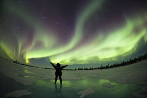 see the northern lights