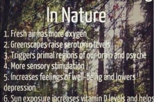 be healthy in Nature.
