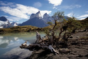 walk the Torres del Paine circuit