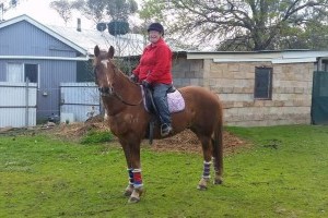 Riding my brumby horse Wendyll, when i never thought i could