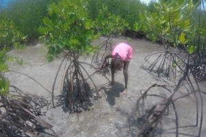 Drive from Darwin to remote Indigenous communities