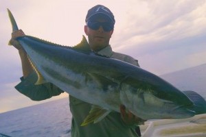 Catch a 15kg kingfish