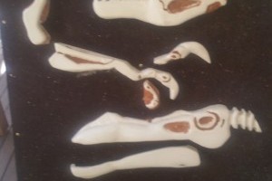 Teaching kids about prehistoric Australia