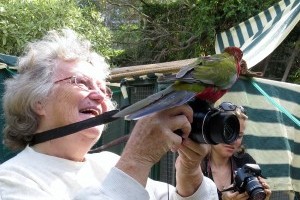 Rescuing and rehabilitating wildlife.