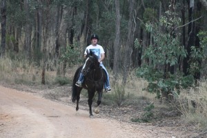 Galloping through the bush