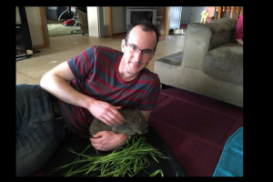 Caring for orphaned wombats