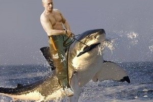 one day i will get the oppurtunity to dive with sharks