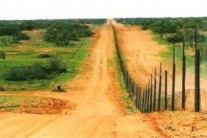 ride the entire dingo fence