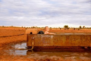 breed amazing cattle on sustainable pastures in the outback.