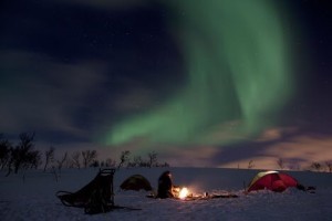 Go dog sledding on frozen lakes in Finland