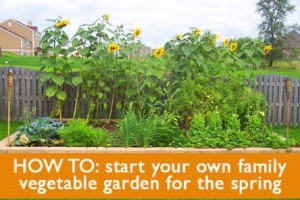 Create a self-sufficient family garden