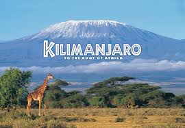 trek to the top of Mt Kilimanjaro