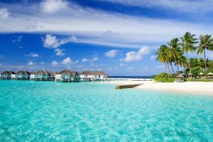 Go to the Maldives