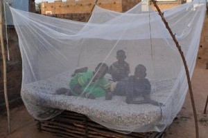 Save the lives of 71 kids from malaria