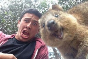 PHOTOBOMBING the SELFIES of local Aussie fauna!