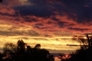 Sunset from my back yard.