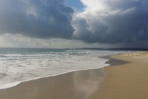 Fraser Island Dreaming