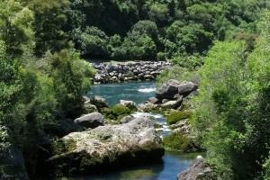 A beautiful New Zealand stream