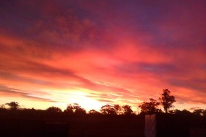 sunset over farm 