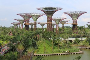 Super Tree Grove - Gardens by the Bay