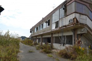 Researching into Great East Japan Earthquake (2011)