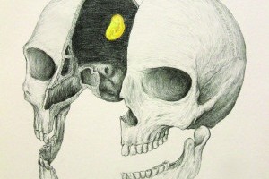 Pencil illustration